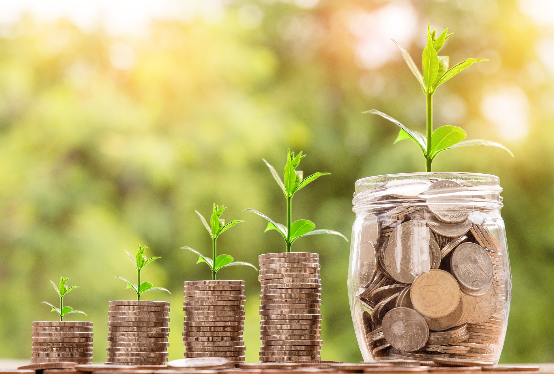 wealthgrow